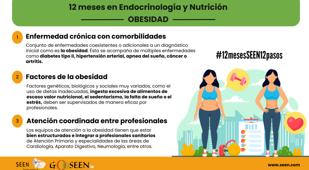 obesidad,enfermedades crónicas,endocrinólogos,SEEN