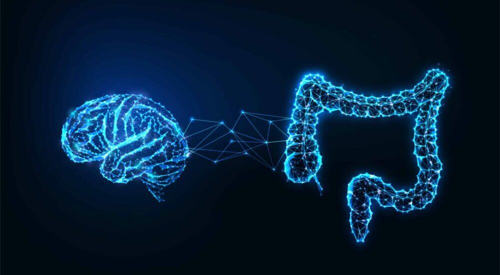 Glicosilación: la microbiota intestinal modifica las proteínas cerebrales
